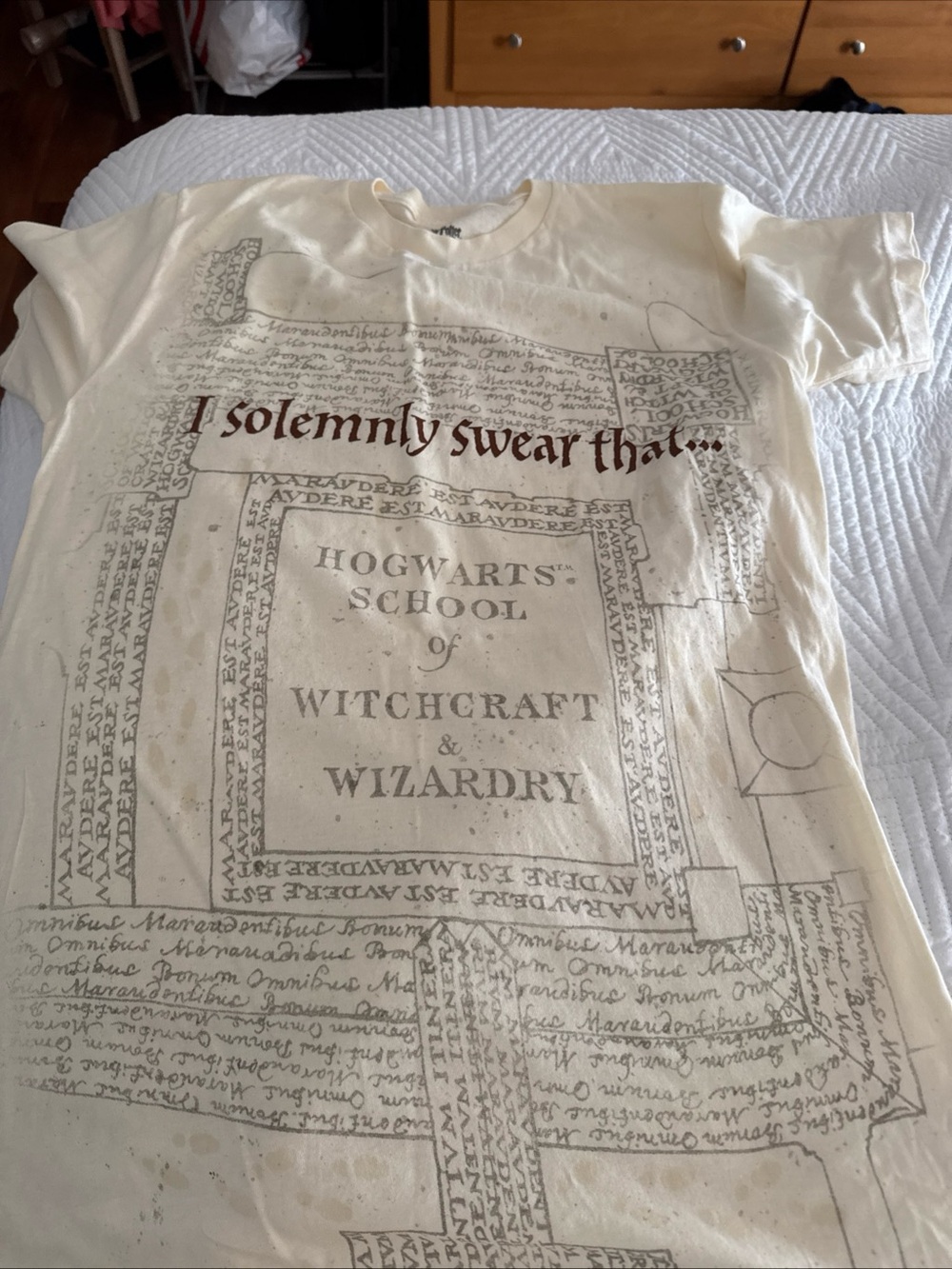 Harry Potter Warner Bros. Cream 'I Solemnly Swear' Hogwarts Graphic men Tee, M